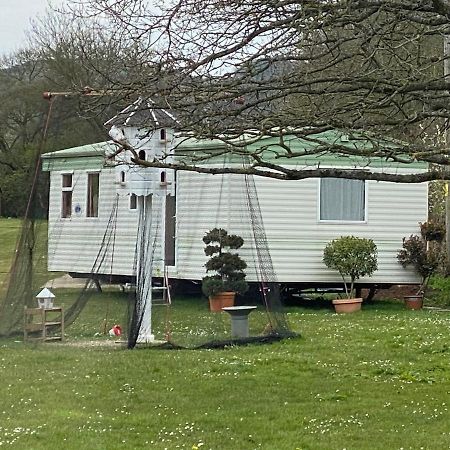 The Nest - Family Friendly Caravan Nr Glastonbury & Street Somerton  Zewnętrze zdjęcie