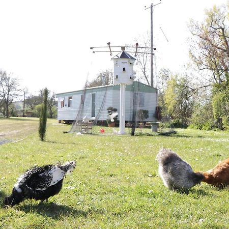 The Nest - Family Friendly Caravan Nr Glastonbury & Street Somerton  Zewnętrze zdjęcie
