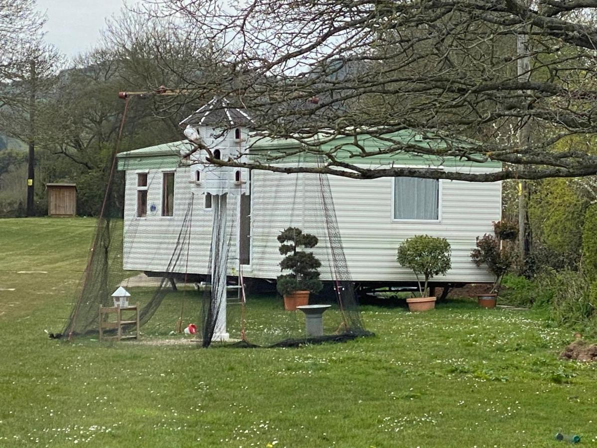 The Nest - Family Friendly Caravan Nr Glastonbury & Street Somerton  Zewnętrze zdjęcie