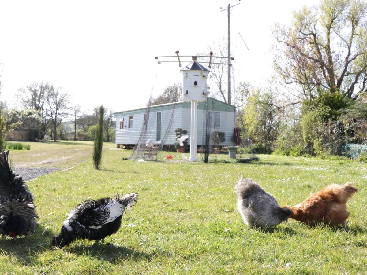 The Nest - Family Friendly Caravan Nr Glastonbury & Street Somerton  Zewnętrze zdjęcie